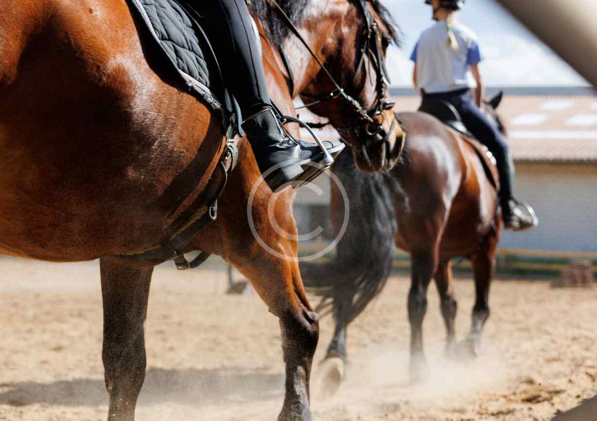 Week-ends & Séjours