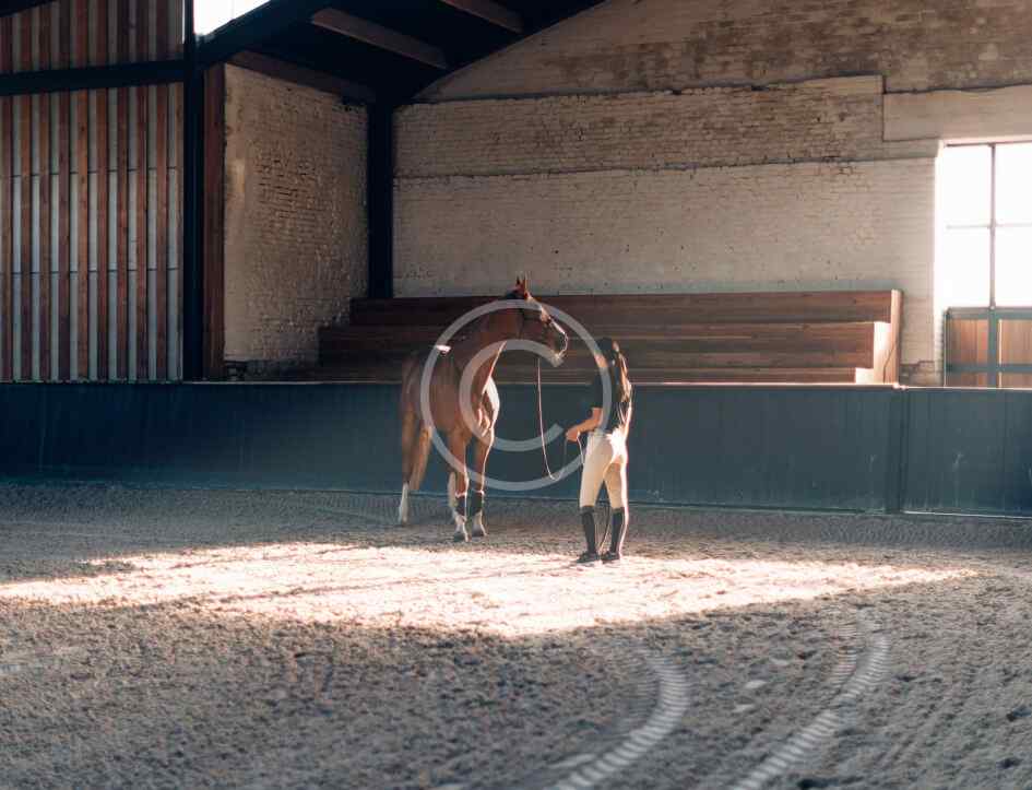 Équicoaching individuel